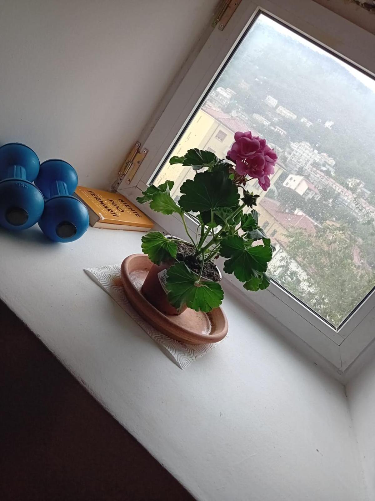 Antonini Apartments Trieste Ngoại thất bức ảnh